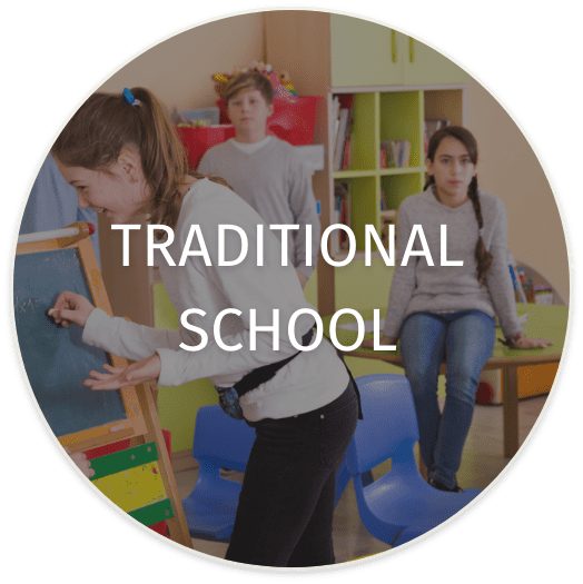 Traditional School